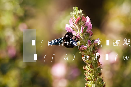 網(wǎng)商貸逾期還清后多久才能恢復(fù)使用，網(wǎng)商貸逾期還款后，多久能再次正常使用？